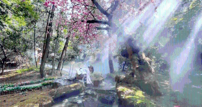 虫虫助手下载